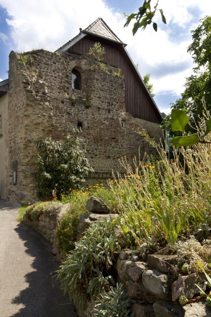Fundstelle Bacharnsdorf