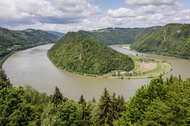 Blick auf die Schlögener Schlinge