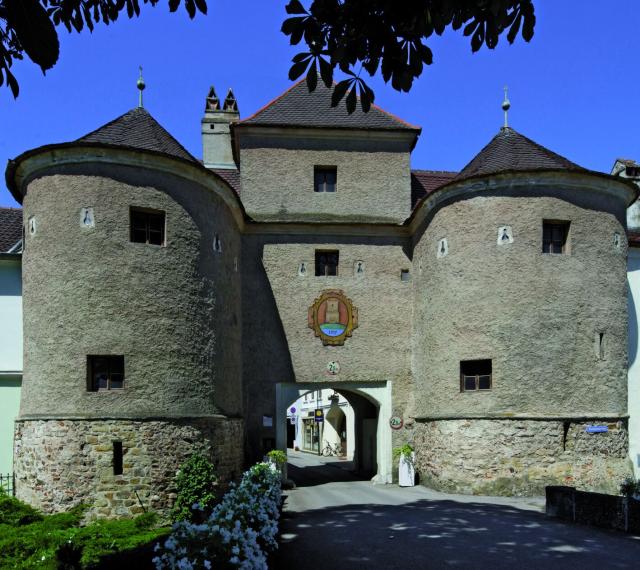 Fundstelle Traismauer