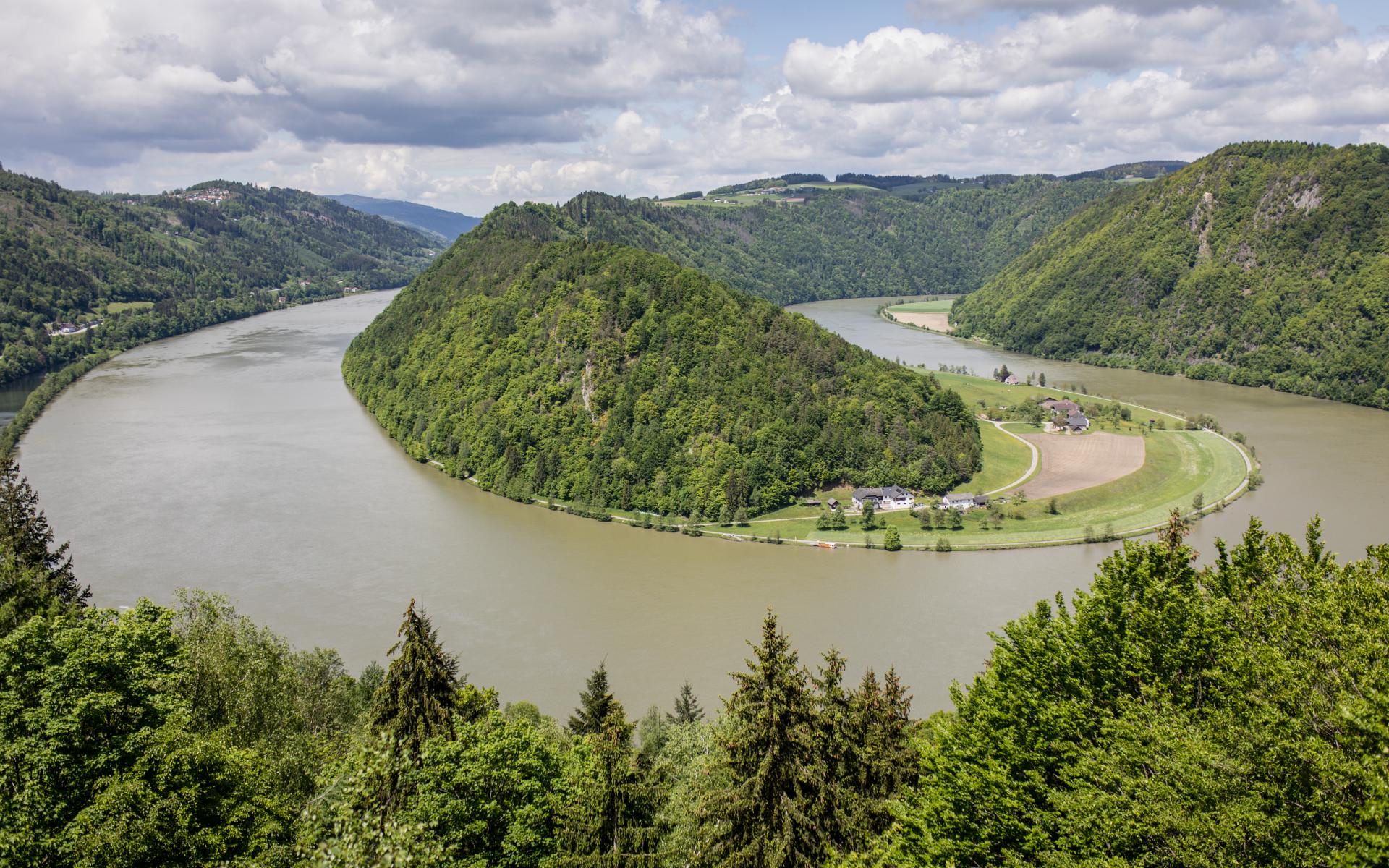 Blick auf die Schlögener Schlinge