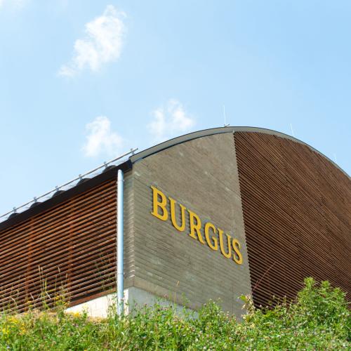 Römerburgus Oberranna