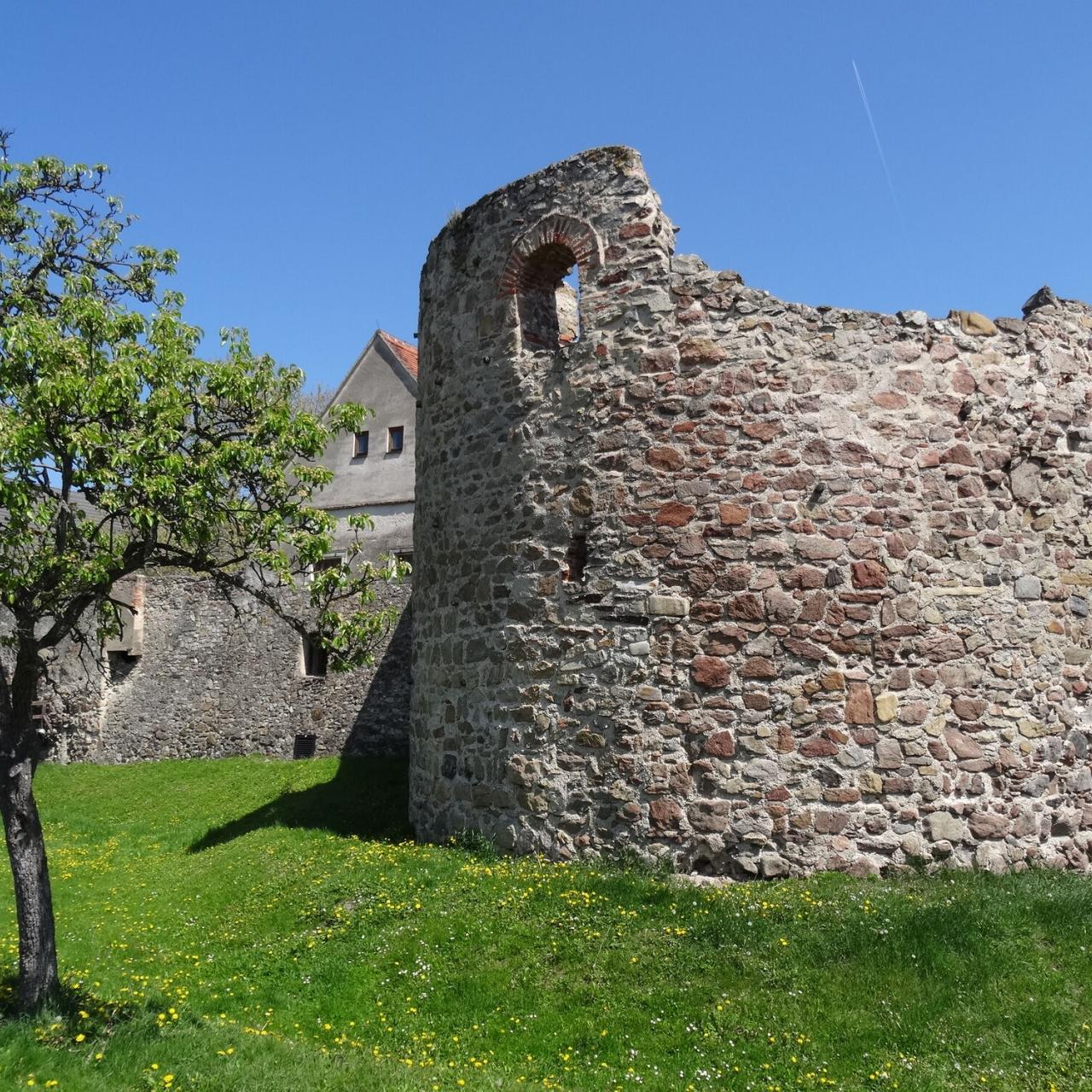 Fundstelle Mautern